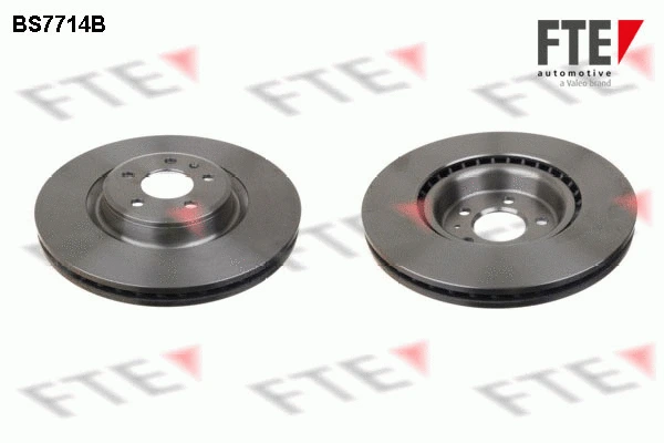 Disque de frein FTE 9081031