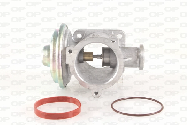 Vanne EGR OPEN PARTS EGR3051.00