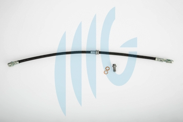 Flexible de frein RICAMBIFLEX GM 02020153
