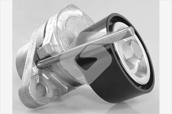 Poulie de tension, courroie trapézoïdale à nervures HUTCHINSON T0671