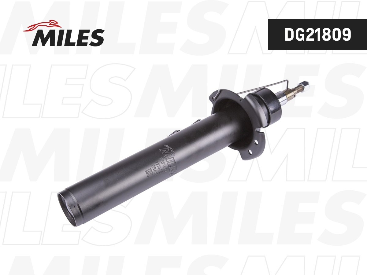 Amortisseur MILES DG21809
