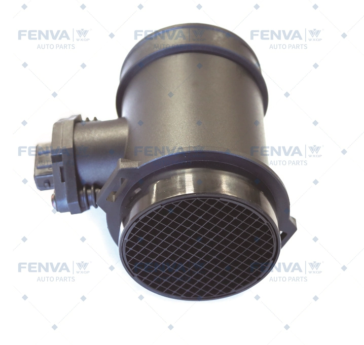 Débitmètre de masse d'air WXQP 12067
