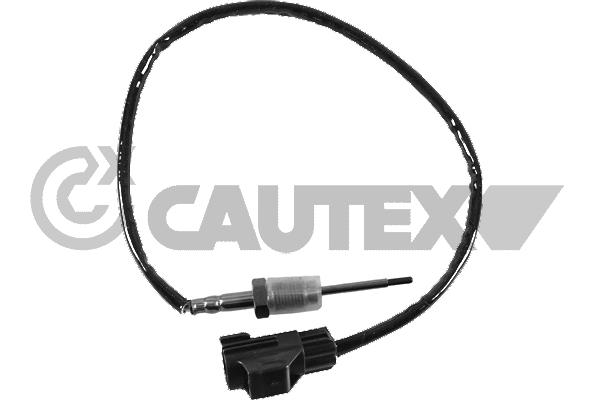 Capteur, température des gaz CAUTEX 771152