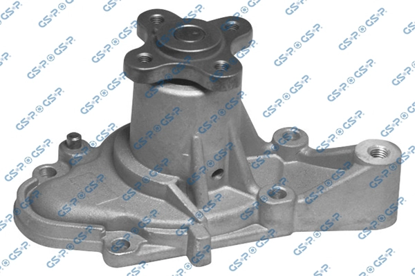 Pompe à eau, refroidissement du moteur GSP WP900381
