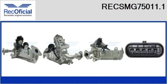 Module-EGR RECOFICIAL RECSMG75011.1