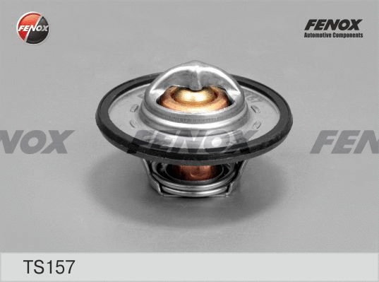 Thermostat, liquide de refroidissement FENOX TS157