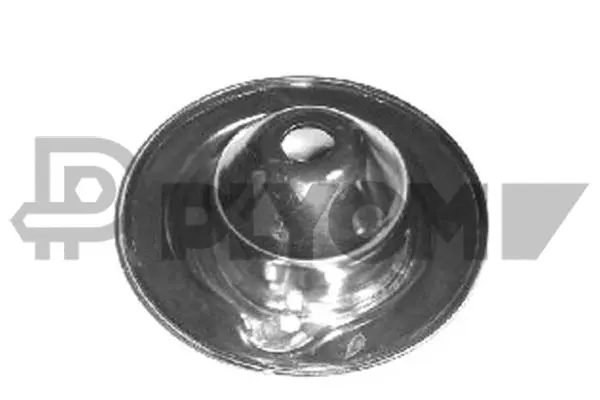 Patin de ressort PLYOM P767204