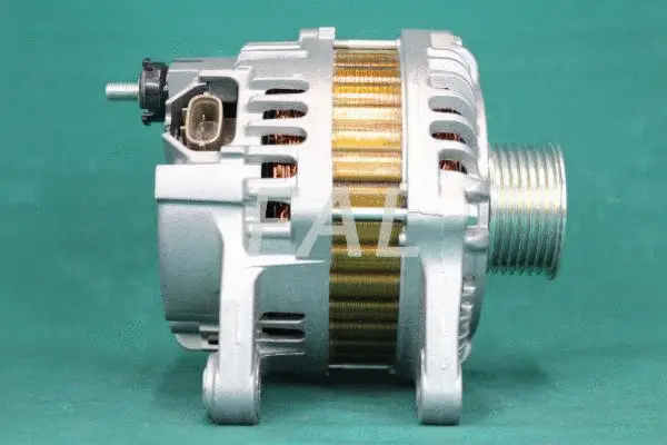 Alternateur FAL Anlasser- und Lichtmaschinenservice F006676/1