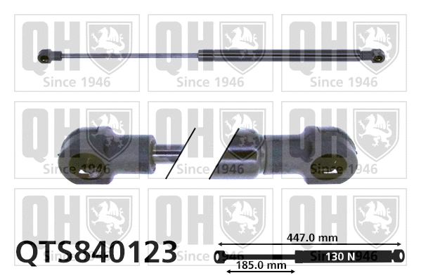 Vérin, vitre arrière QUINTON HAZELL QTS840123