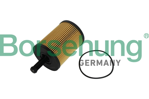 Filtre à huile Borsehung B12224