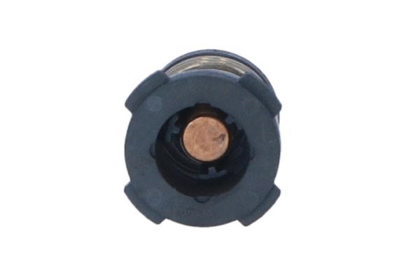 Thermostat, liquide de refroidissement WILMINK GROUP WG2184820
