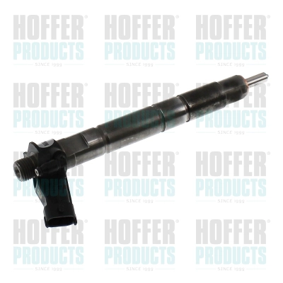 Injecteur HOFFER H74146R