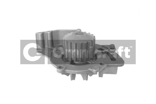 Pompe à eau, refroidissement du moteur Omnicraft 2316934