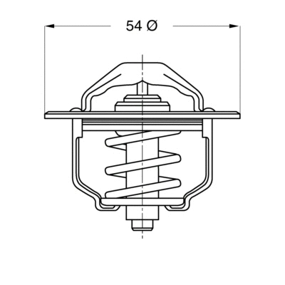 Thermostat, liquide de refroidissement BorgWarner (Wahler) 3103.79
