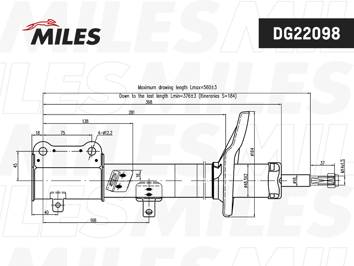 Amortisseur MILES DG22098