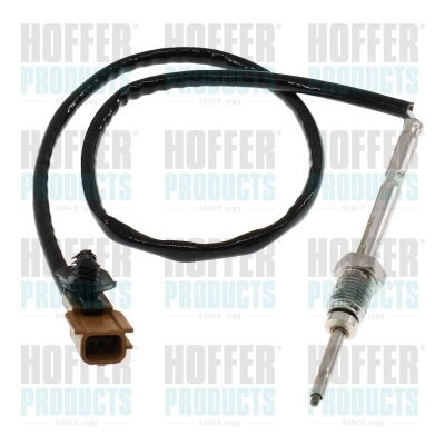 Capteur, température des gaz HOFFER 7452185