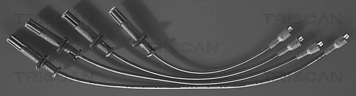 Kit de câbles d'allumage TRISCAN 8860 6206