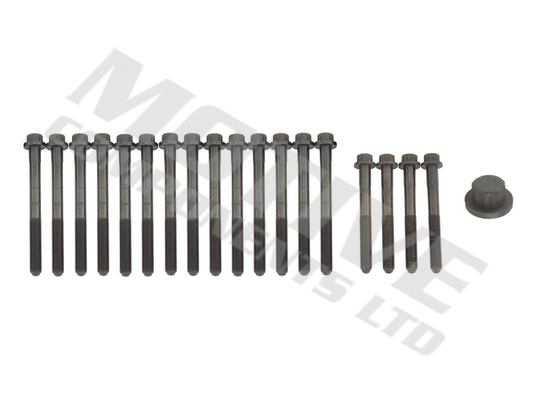 Jeu de boulons de culasse de cylindre MOTIVE HB195SET