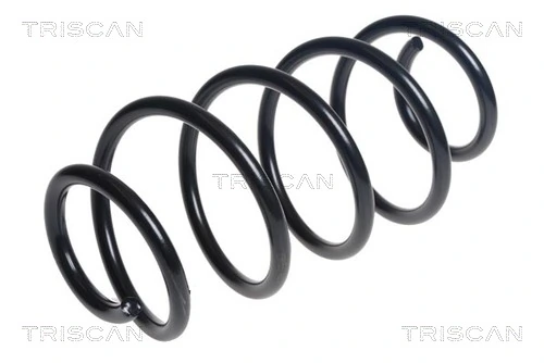 Ressort de suspension TRISCAN 8750 16145