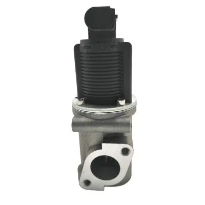 Vanne EGR GAUSS GI2054