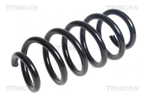 Ressort de suspension TRISCAN 8750 13241