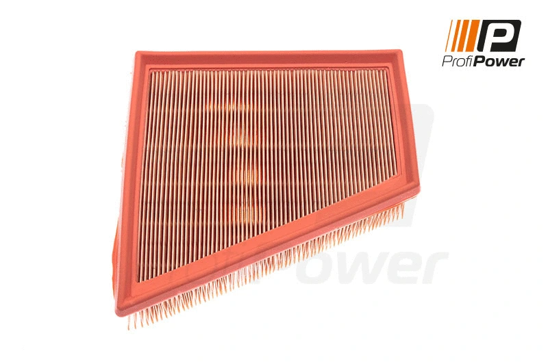 Filtre à air ProfiPower 2F0031
