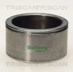 Piston, étrier de frein TRISCAN 8170 235404