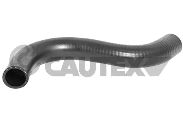 Durite de radiateur CAUTEX 086025