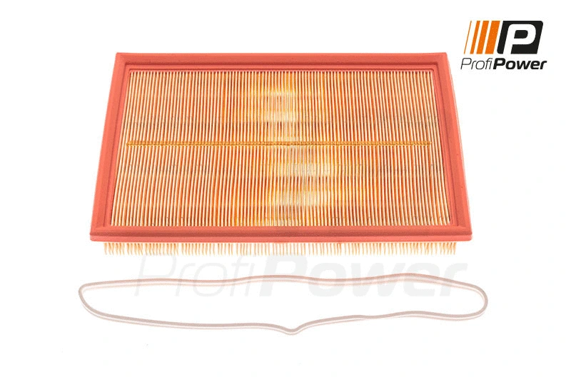 Filtre à air ProfiPower 2F0034