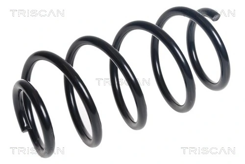 Ressort de suspension TRISCAN 8750 16138