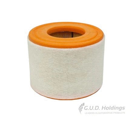 Filtre à air GUD AG1557
