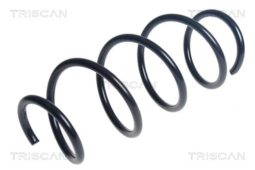 Ressort de suspension TRISCAN 8750 43164