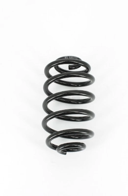 Ressort de suspension NPS R491T02