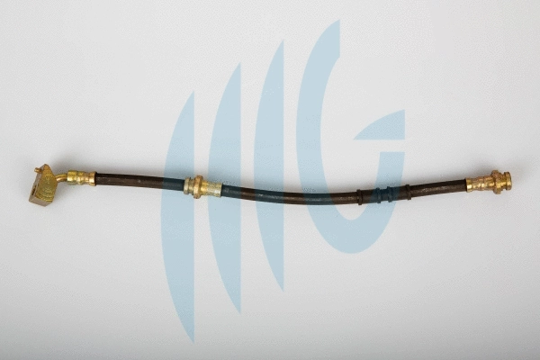 Flexible de frein RICAMBIFLEX GM 02100737