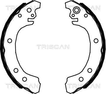 Jeu de mâchoires de frein TRISCAN 8100 13049