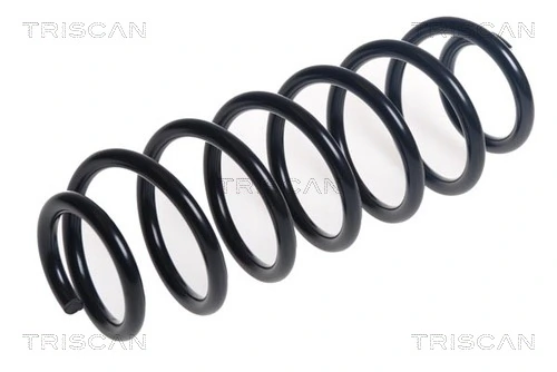 Ressort de suspension TRISCAN 8750 29494