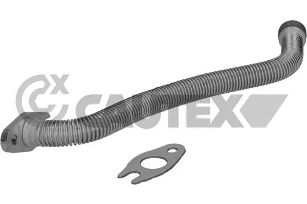 Tuyau d'huile CAUTEX 769960