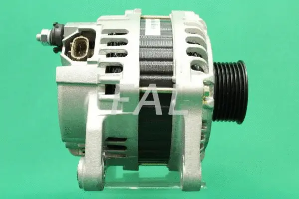 Alternateur FAL Anlasser- und Lichtmaschinenservice F006676/2