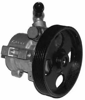 Pompe hydraulique, direction GENERAL RICAMBI PI0316