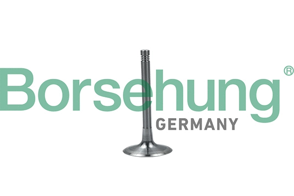 Soupape d'admission Borsehung B19028
