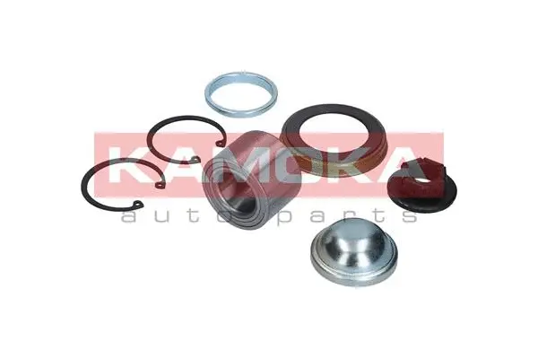Kit de roulements de roue KAMOKA 5600012