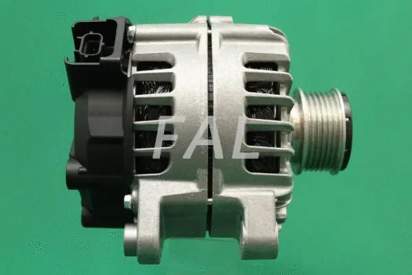 Alternateur FAL Anlasser- und Lichtmaschinenservice F013287/1