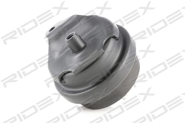 Support moteur RIDEX 247E0205