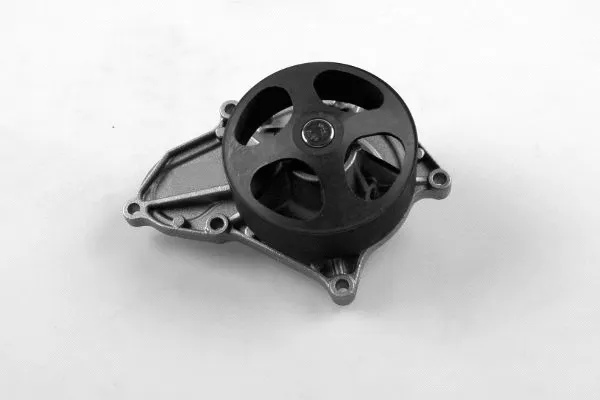 Pompe à eau, refroidissement du moteur GK 987846