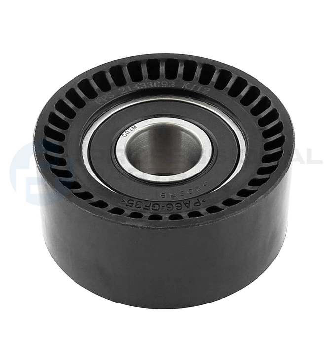 Poulie renvoi/transmission, courroie crantée Professional Parts 21433093