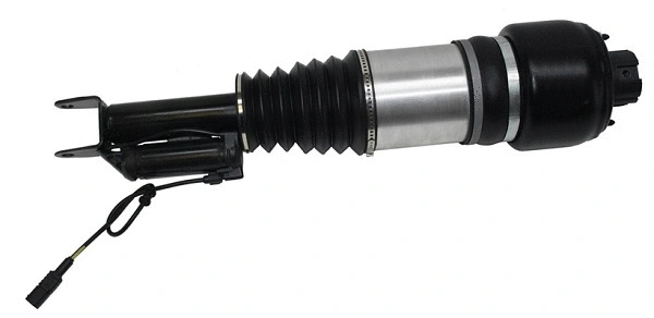Armortisseur pneumatique GOLD 6160931