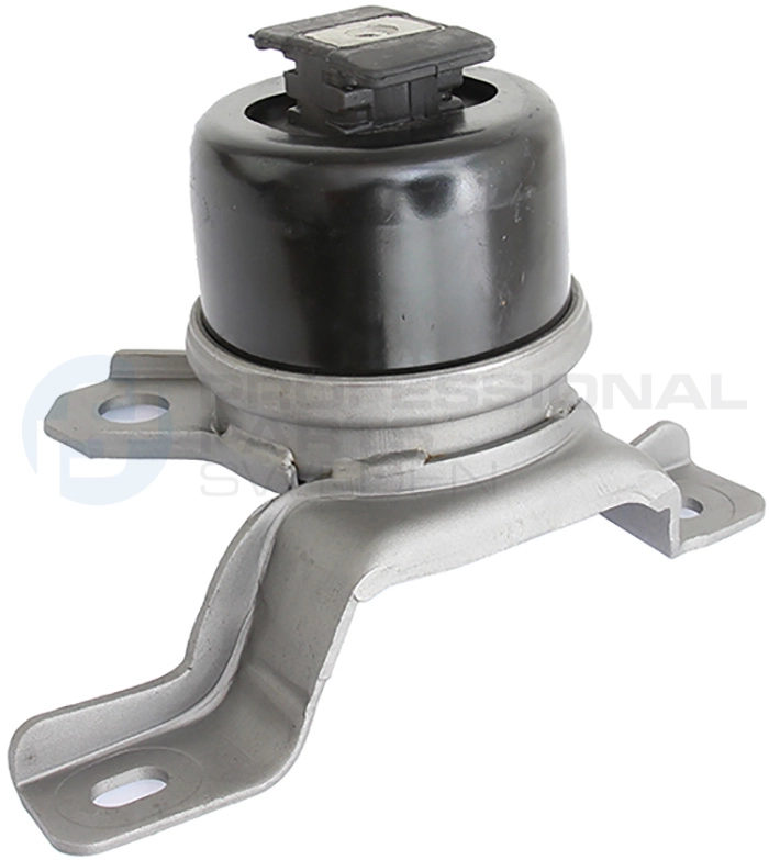 Support moteur Professional Parts 62437674