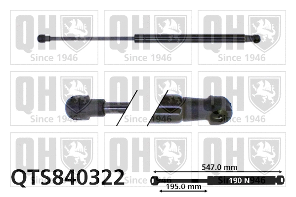 Vérin, vitre arrière QUINTON HAZELL QTS840322