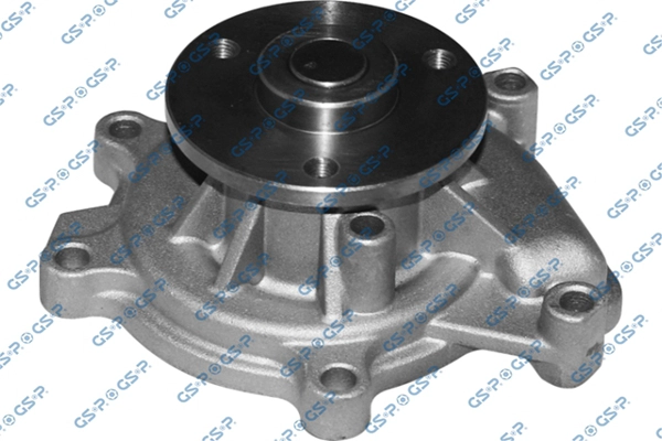 Pompe à eau, refroidissement du moteur GSP WP900661