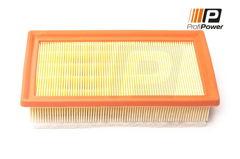 Filtre à air ProfiPower 2F0194